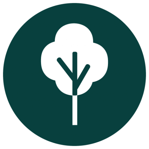 Støtte Consultancy